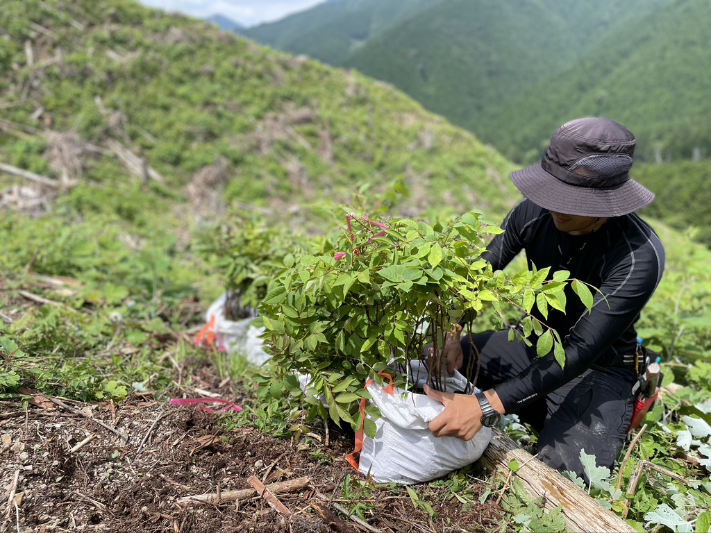 Plantation project in Tenkawa Village, Nara